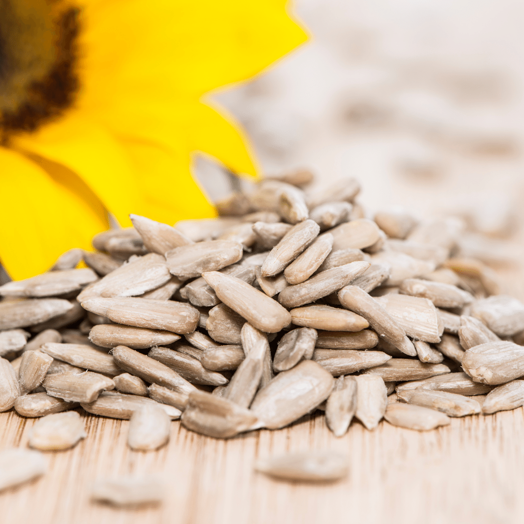 Raw Sunflower Seeds (No Shell) - The Nuttery